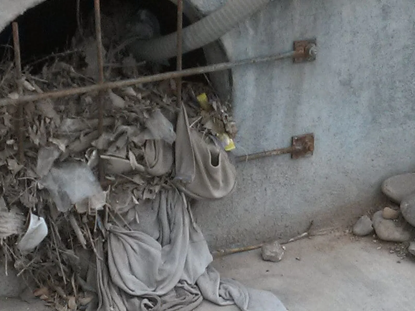 Clogged drainage pipe with tangled debris, leaves, and fabric blocking water flow against concrete surface.