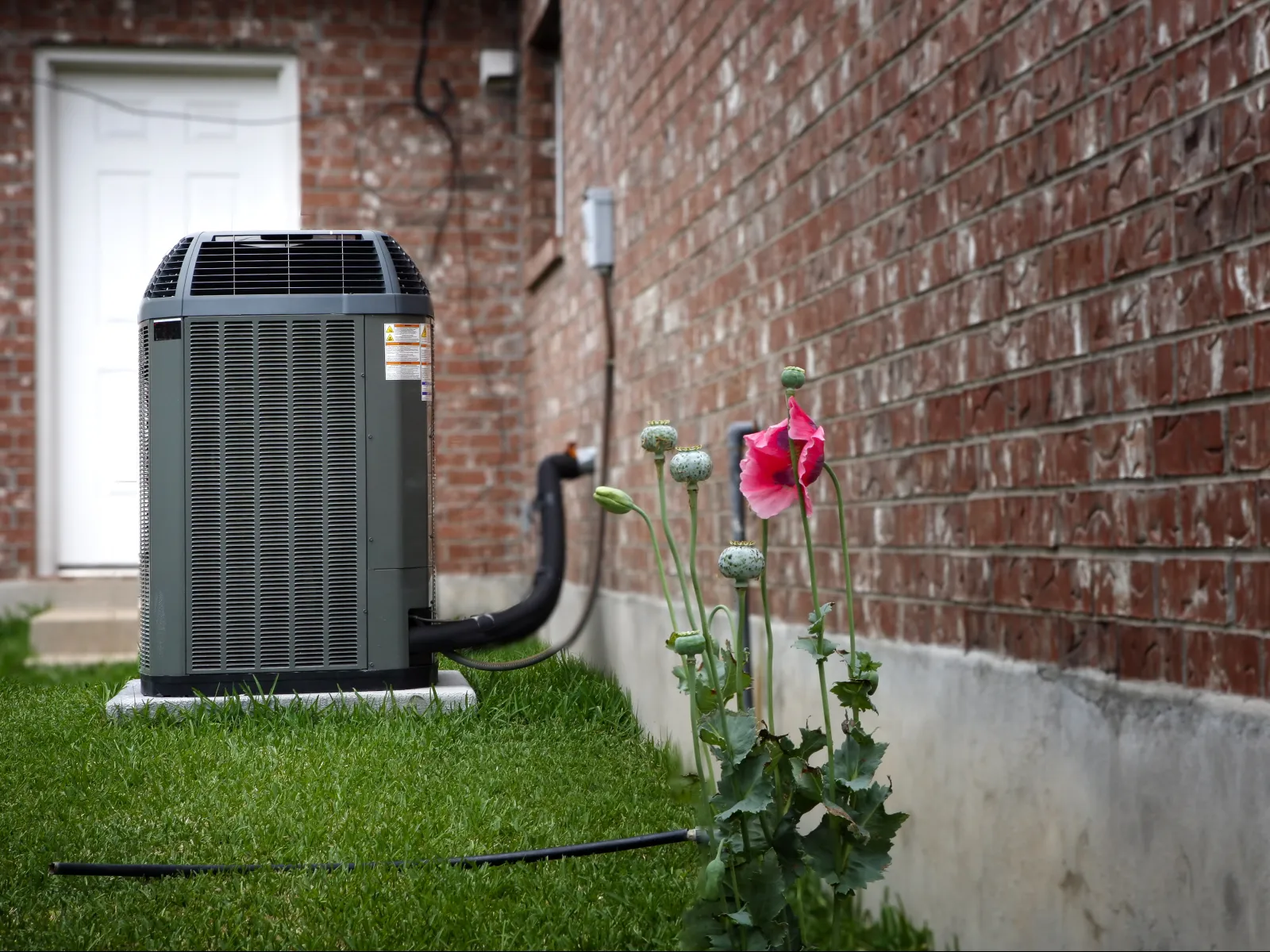 Outdoor air conditioning unit beside red brick house wall with green grass and blooming pink flower nearby