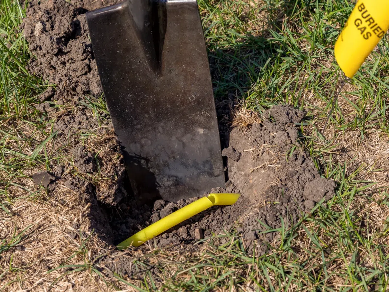 Shovel digging into soil near a yellow buried gas line warning marker and exposed yellow gas pipe in grassy area.