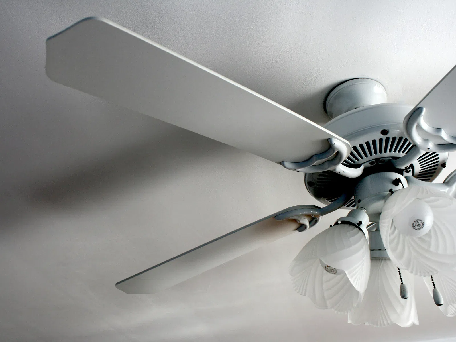 White ceiling fan with five blades and attached five frosted glass light fixtures, mounted on white ceiling.