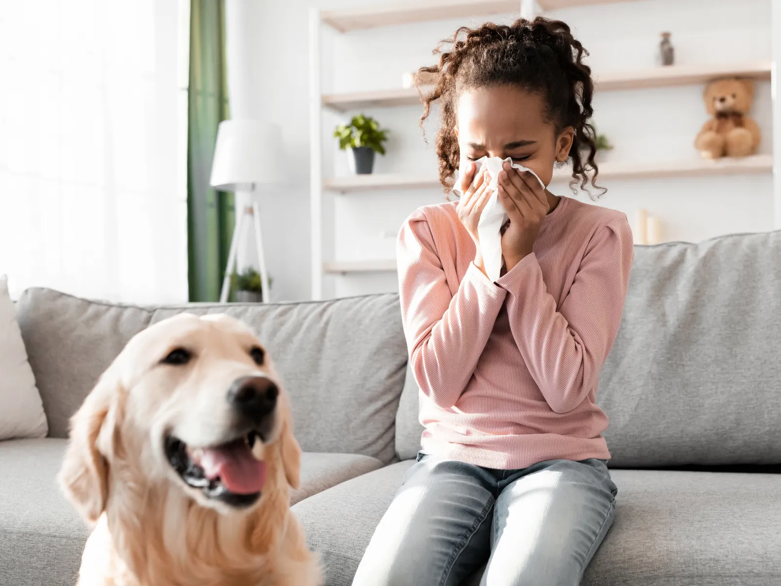 Young girl sitting on couch sneezing into tissue with happy golden retriever dog nearby in bright living room