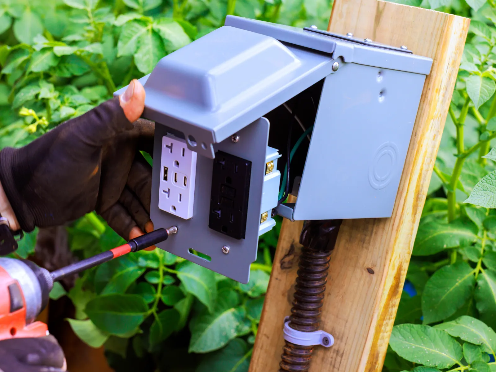 Technician installing outdoor electrical outlet box on wooden post surrounded by green plants with cordless drill.