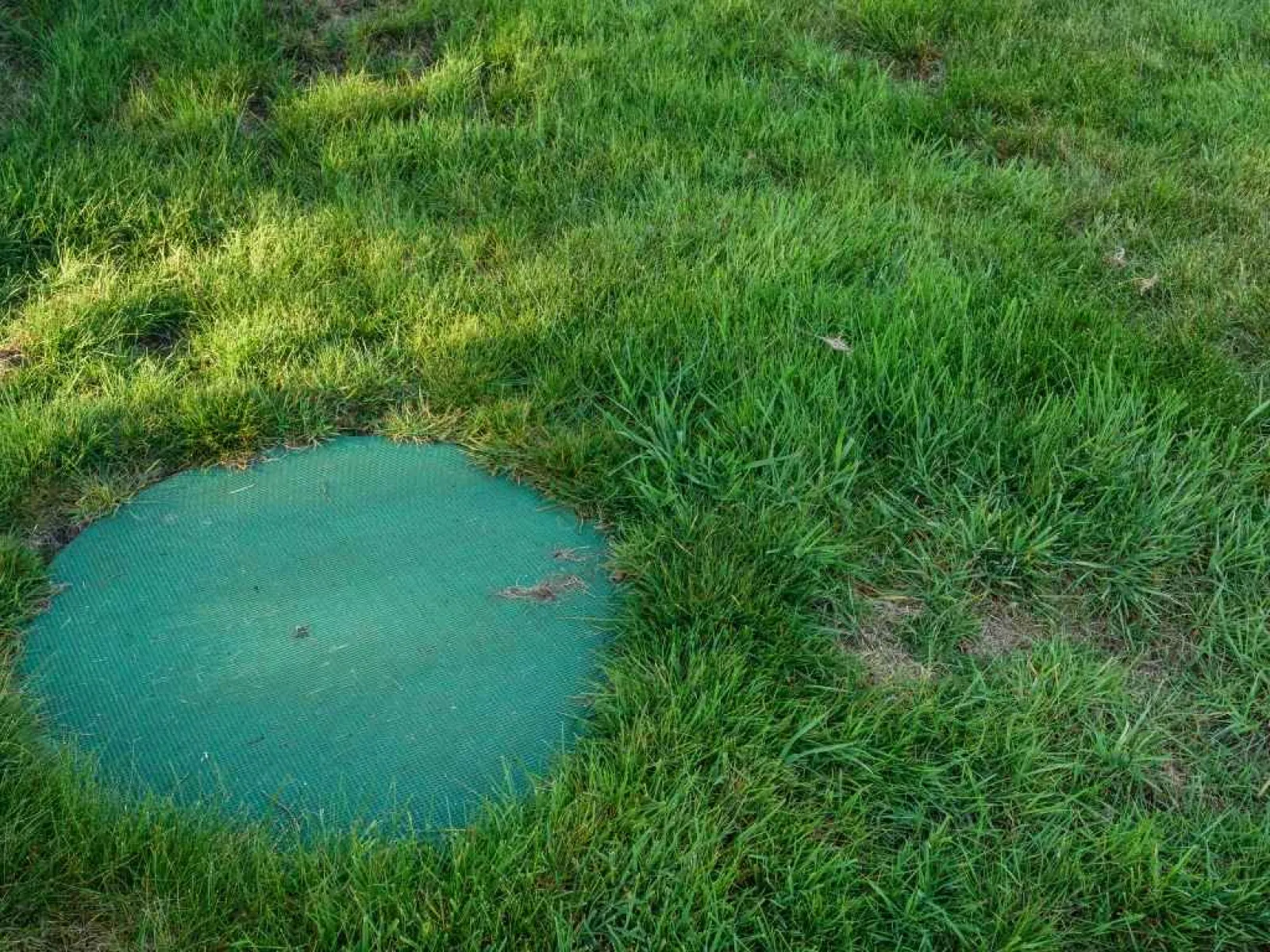 Green grass lawn with a round green covered utility access area embedded in the ground.