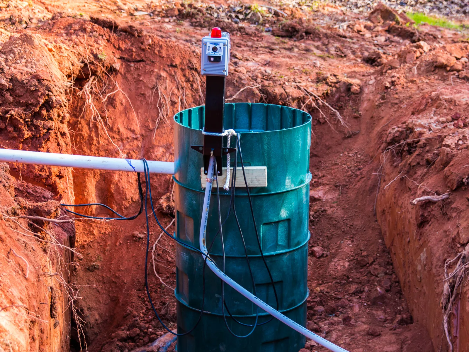 septic drain field in backyard