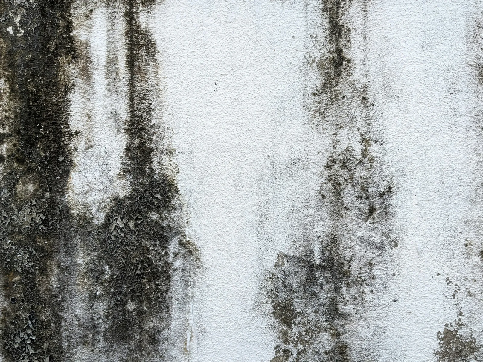 a close up of a window