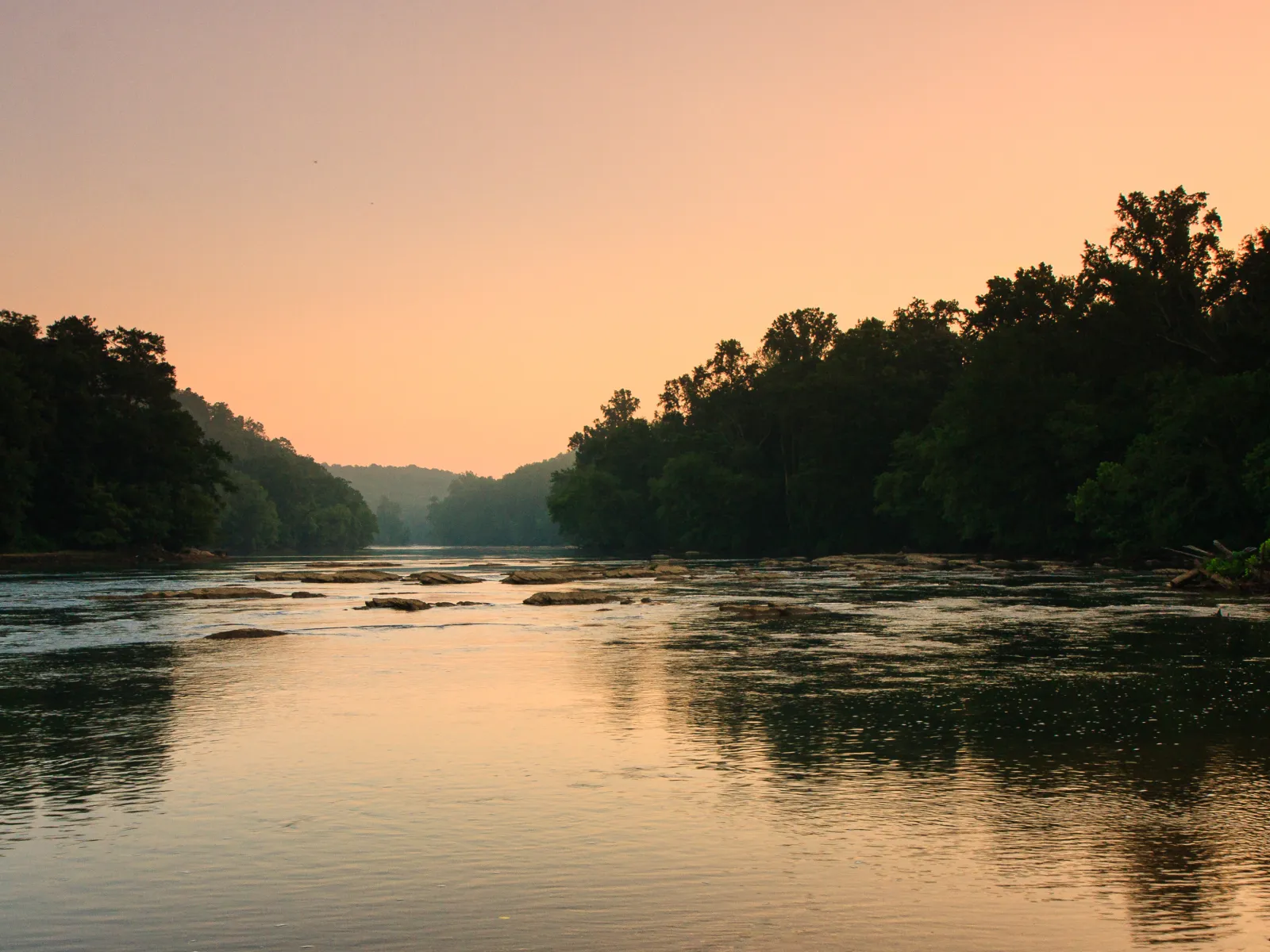 a body of water with trees around it