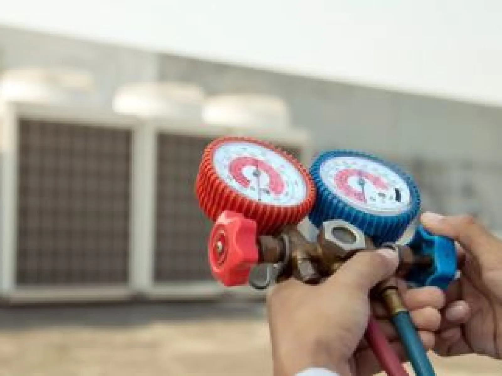 a person holding a small microphone