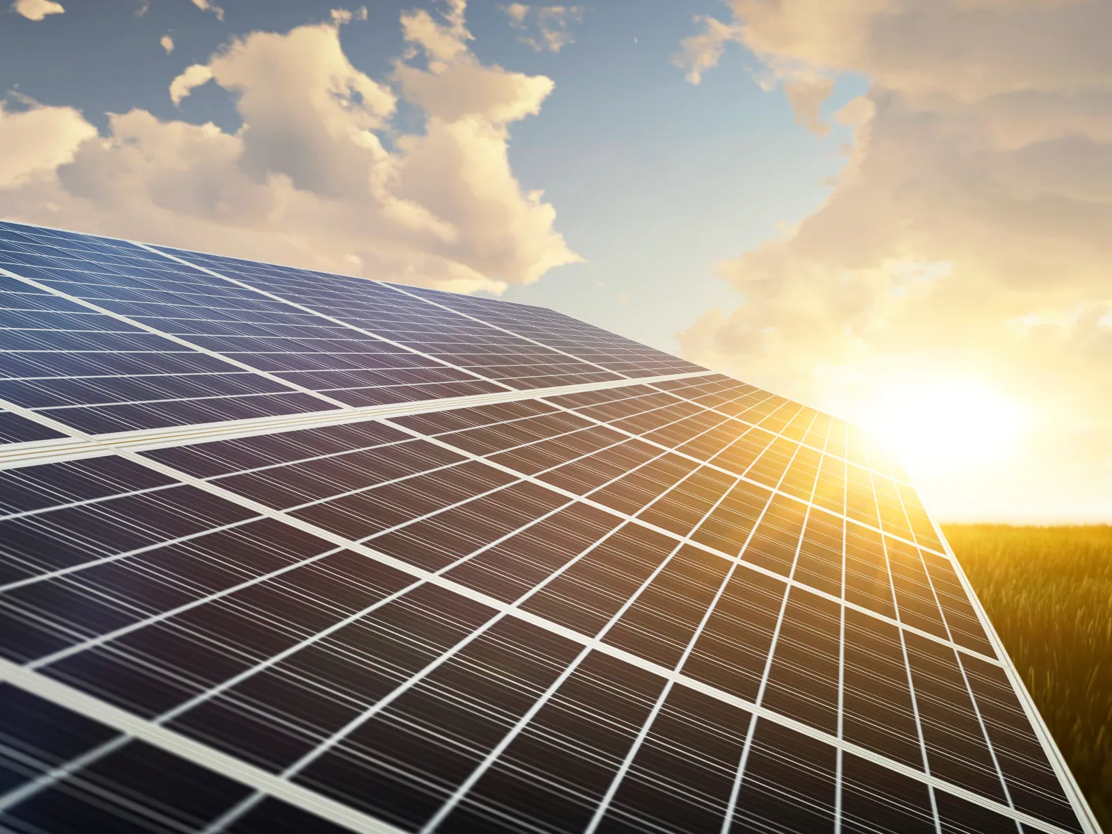 solar panels in a field