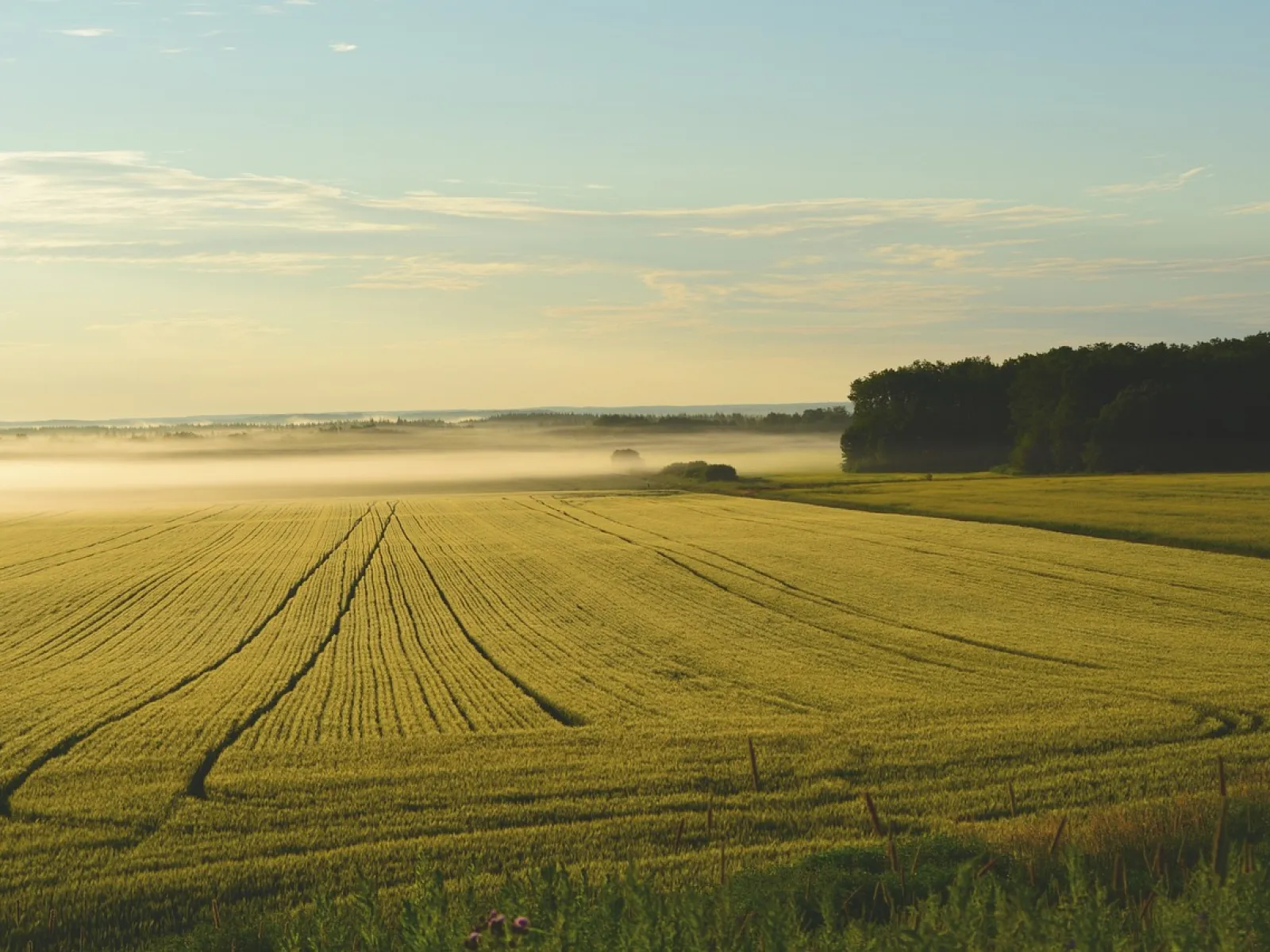 Our Land Management services