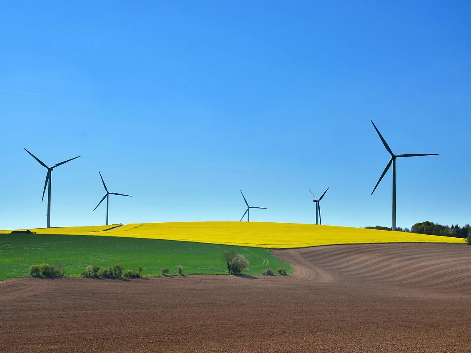 Clearing Land for Development: Efficient Solutions for Every Project