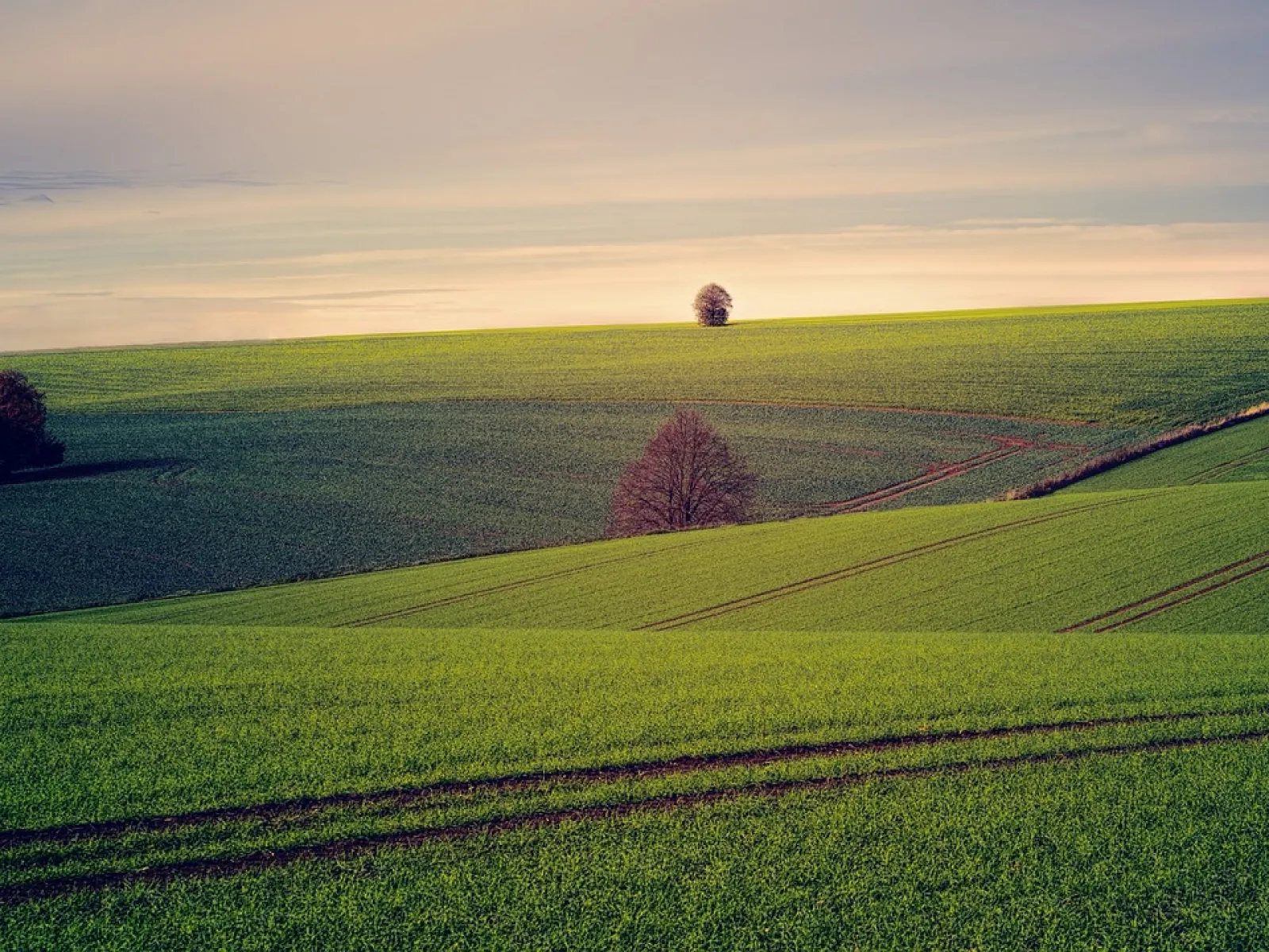 Delivering Reliable and Sustainable Land Management Solutions
