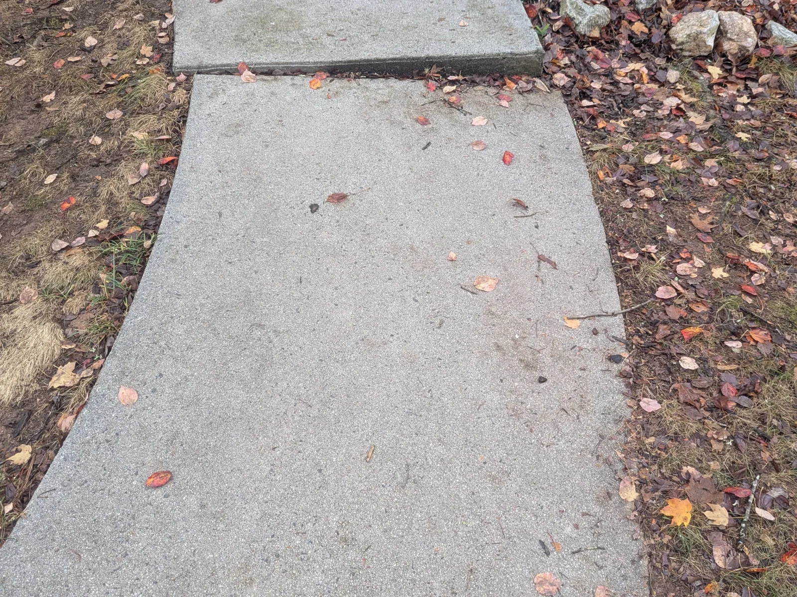 Concrete sidewalk panels with noticeable uneven lifting and fallen autumn leaves around the edges.