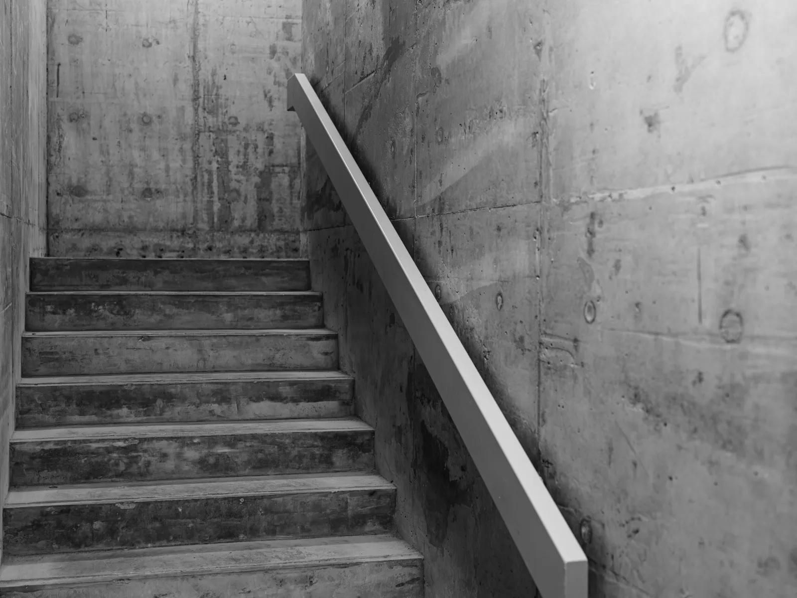 Stylish stamped concrete patio with lush greenery and smooth curves, perfect for outdoor relaxation.