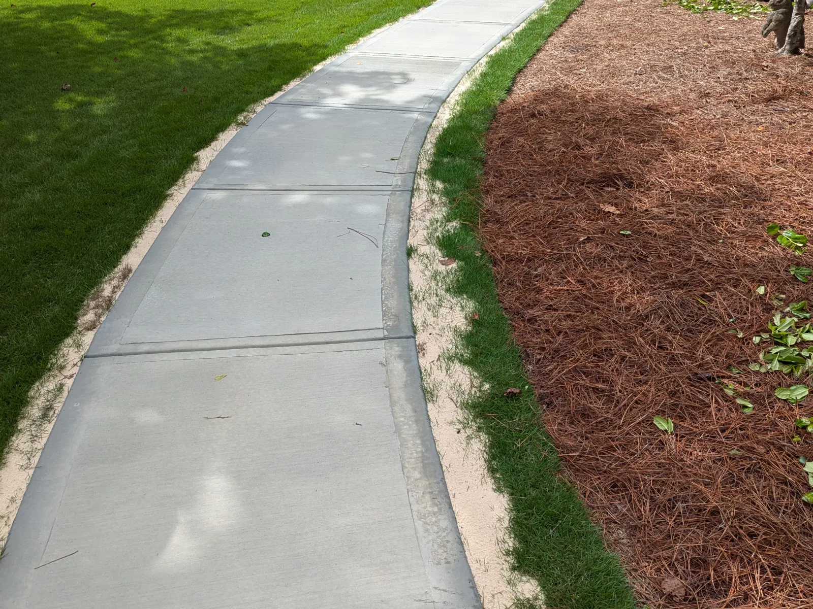 a sidewalk with grass and trees