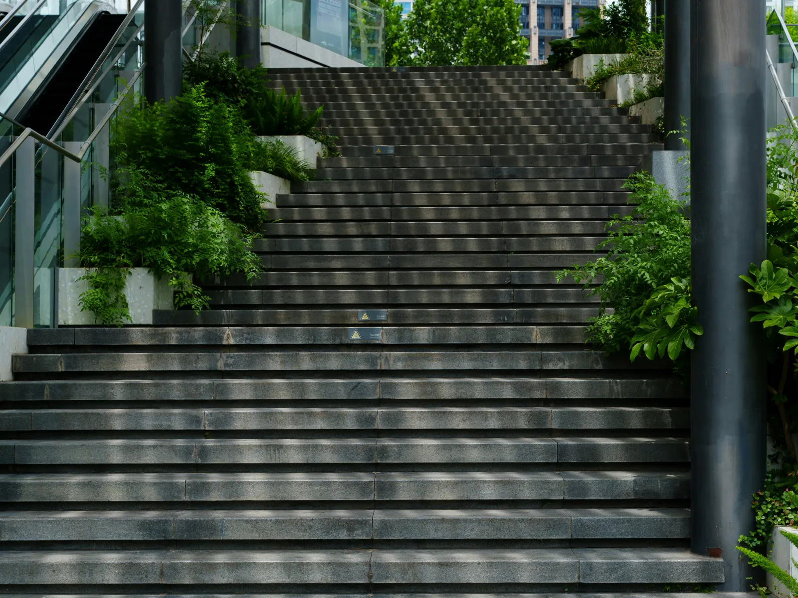 Wide concrete stairs flanked by greenery under a modern canopy with urban buildings in the background.