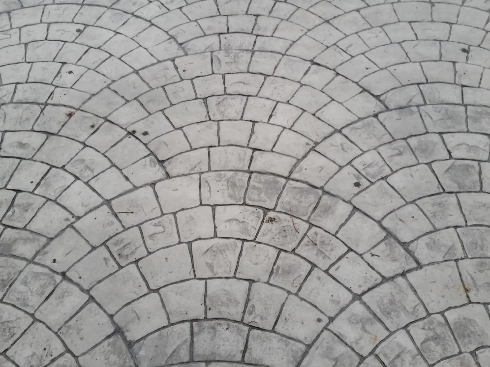 a cracked dry ground