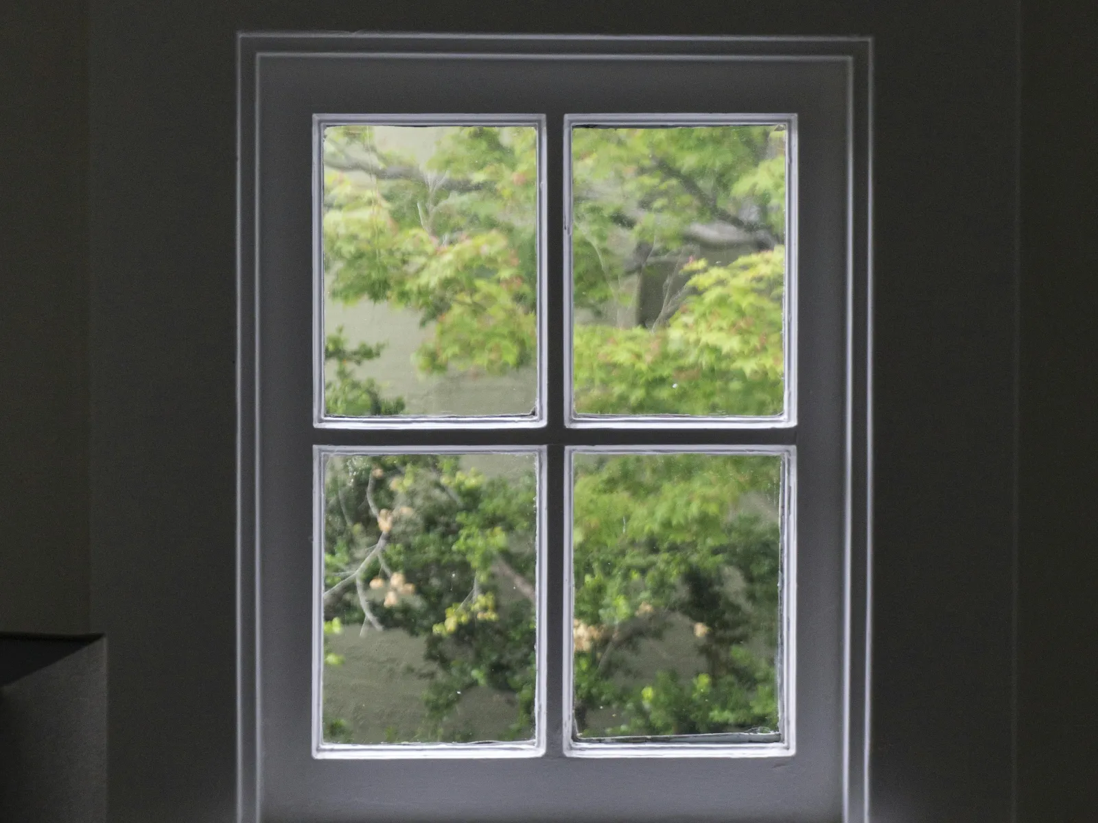 a window with a view of trees outside