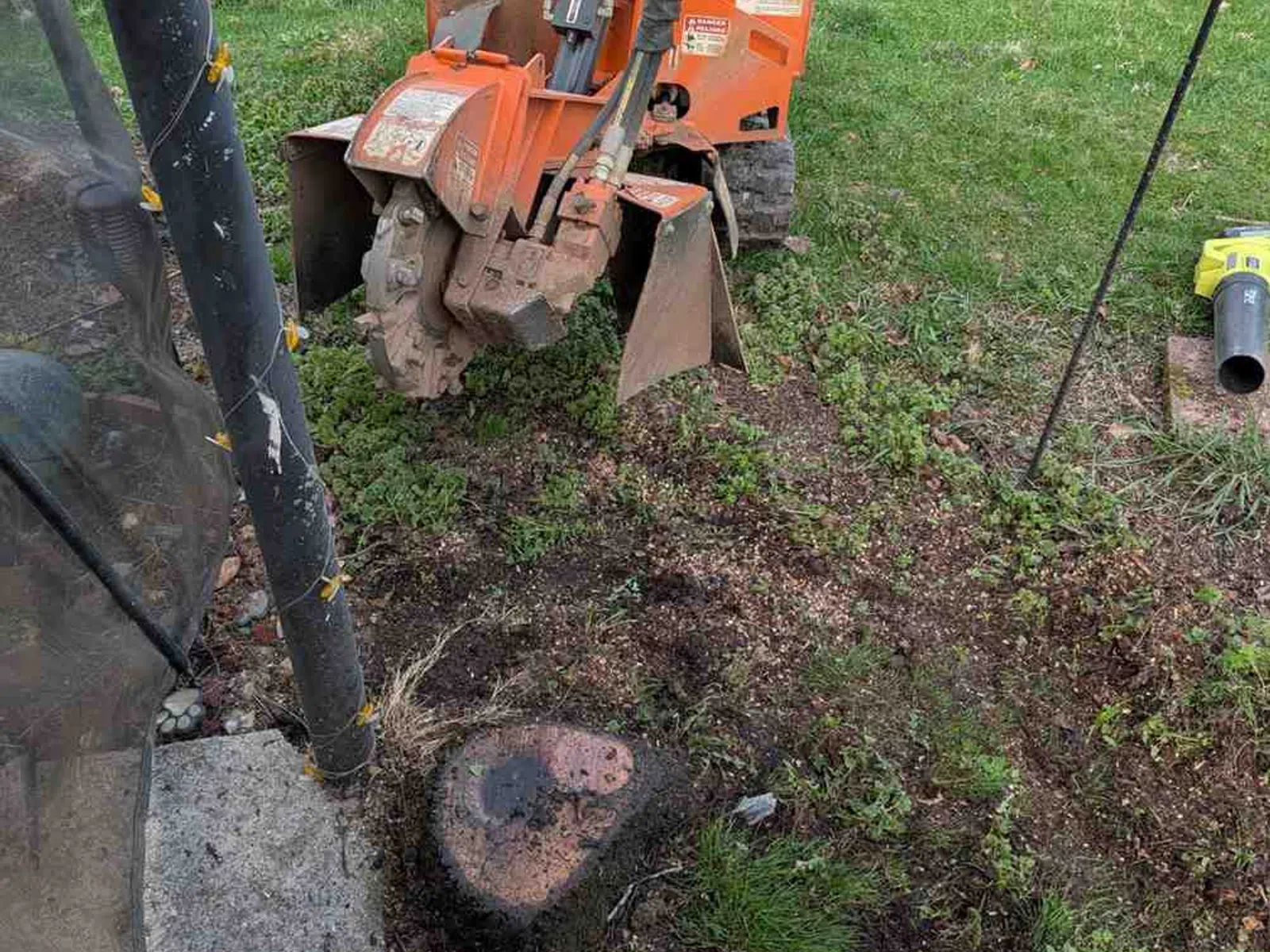 Orange stump grinder in a backyard clearing a tree stump near a patio and green grass area.