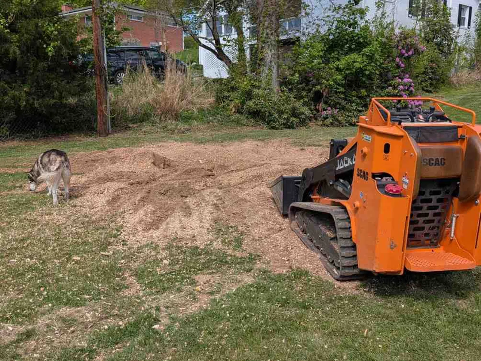 Orange mini skid steer loader on grass and dirt near a dog and a yellow helmet in a suburban backyard.