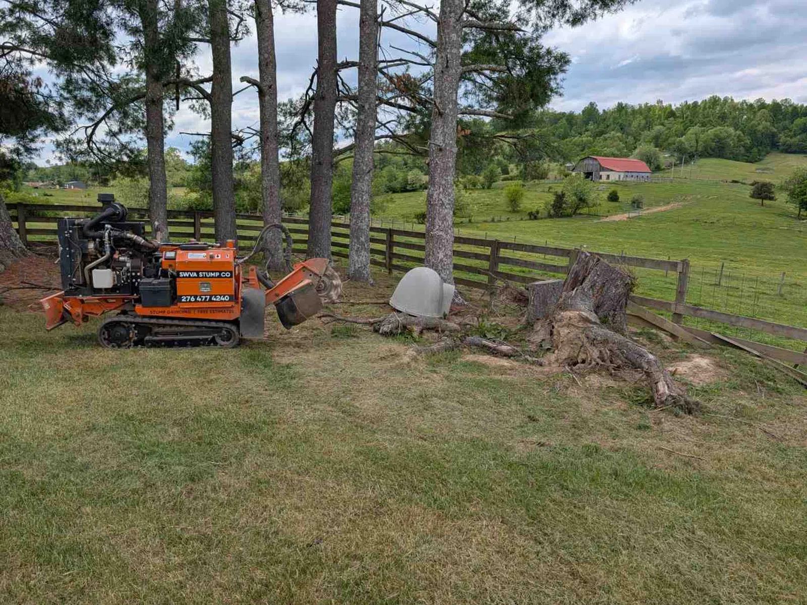 Orange stump grinder machine near large tree stumps in grassy field with wooden fence and barn in background
