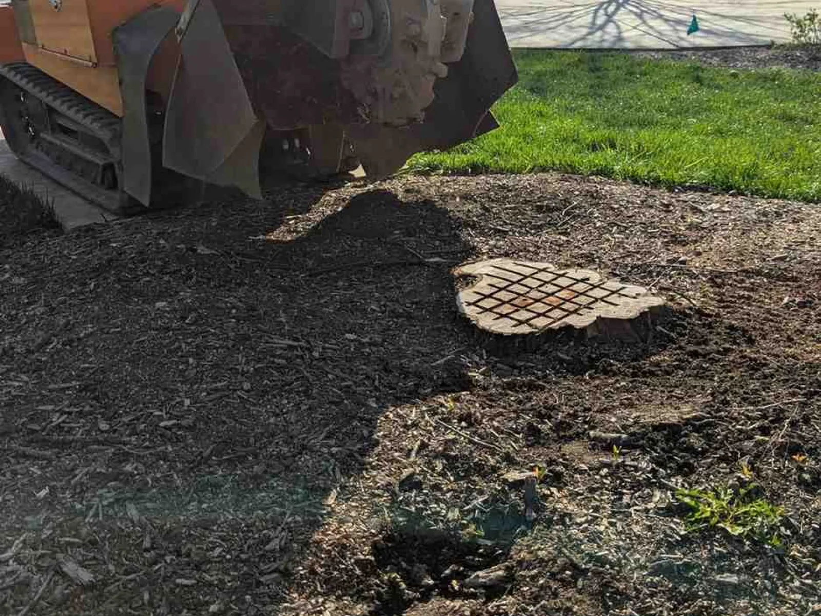 Orange stump grinder machine near tree stump in residential backyard with green grass and house in background.