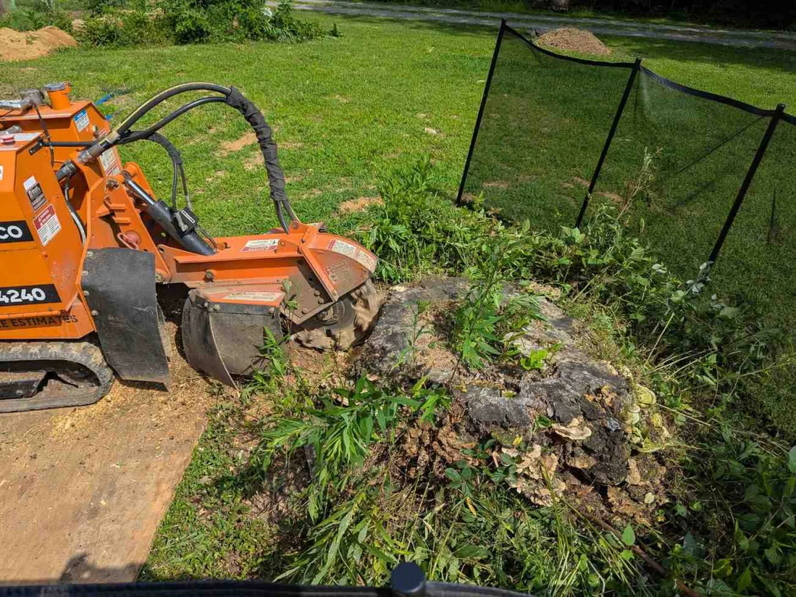 Orange stump grinder machine removing a large tree stump surrounded by green grass and foliage.