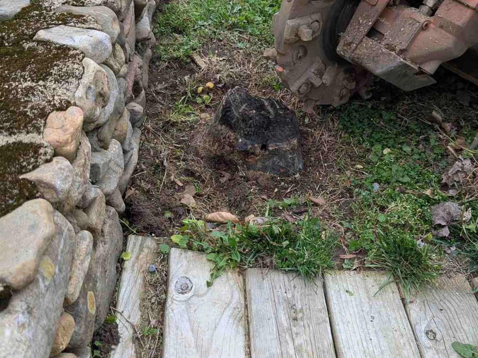 Orange stump grinder next to a tree stump beside a mossy stone wall and wooden deck outdoors.