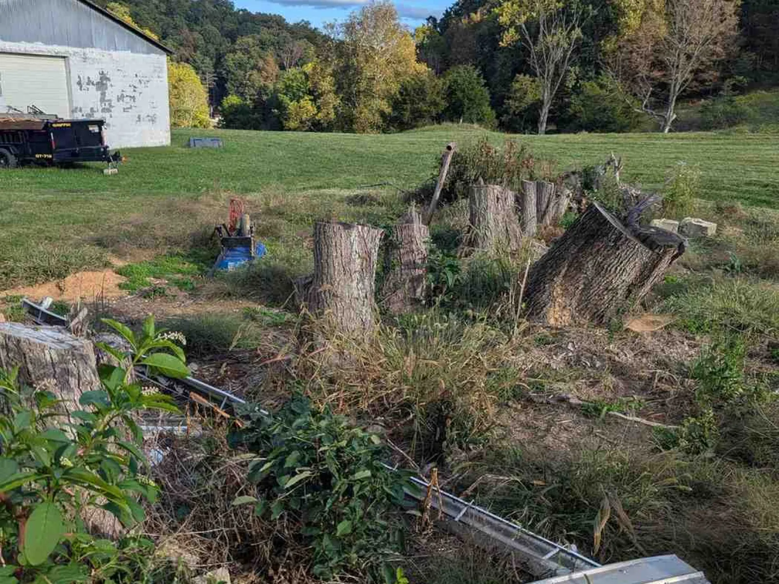 Rural landscape with tree stumps, metal debris, green grass, a barn, and hills under a clear blue sky.