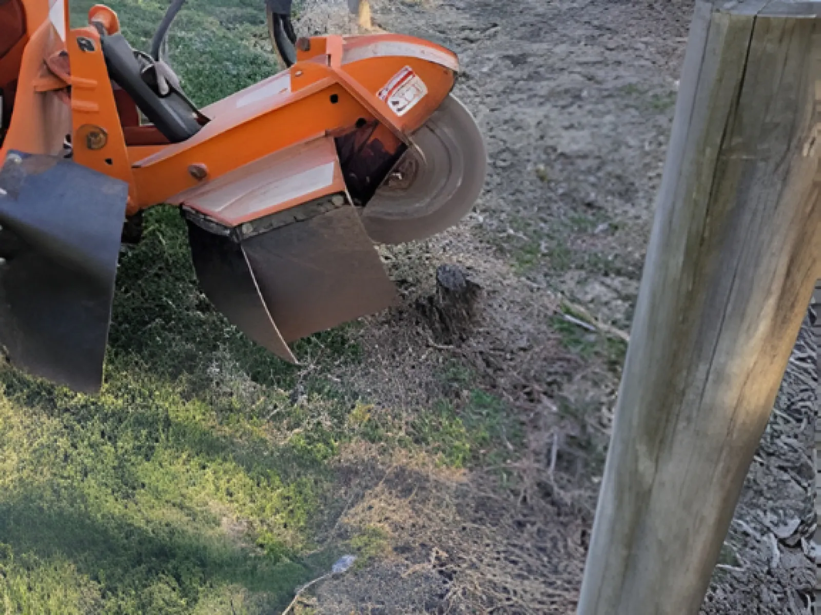 Orange stump grinder machine grinding tree stump on grassy and soil surface outdoors.
