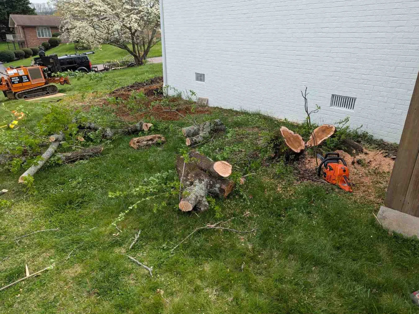 Lawn with freshly cut tree logs and branches near a white brick house and orange chainsaw on grass.
