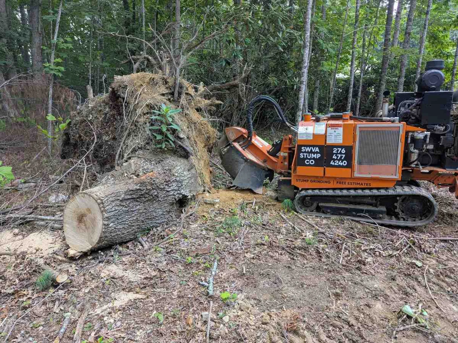 Orange stump grinding machine next to large tree stump and fallen log in wooded area