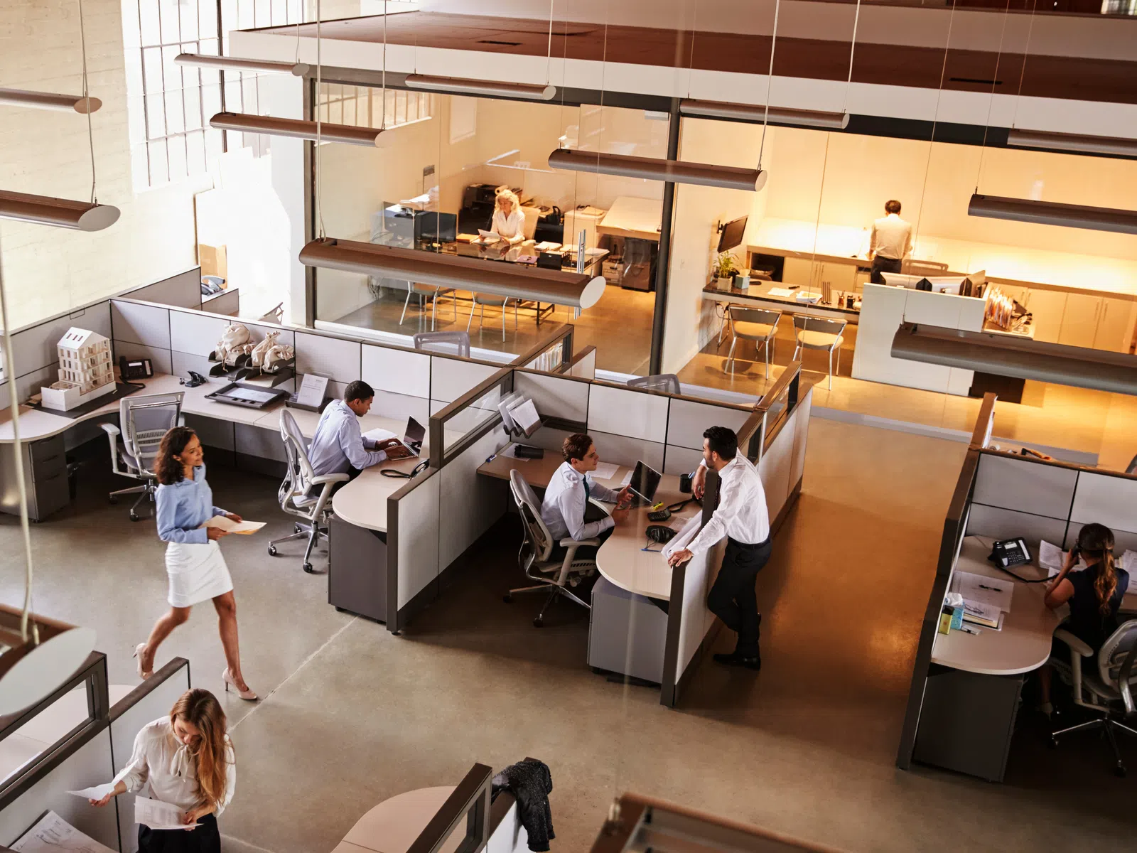 a group of people in an office