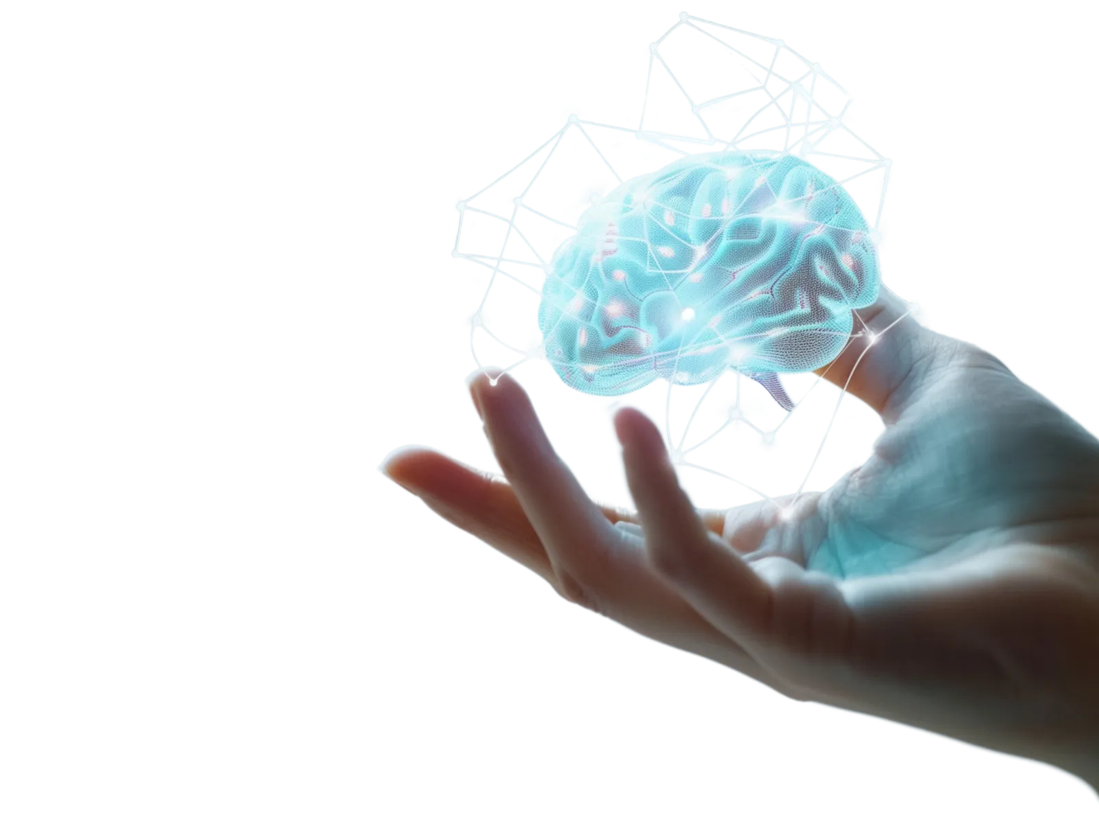 a person holding a globe