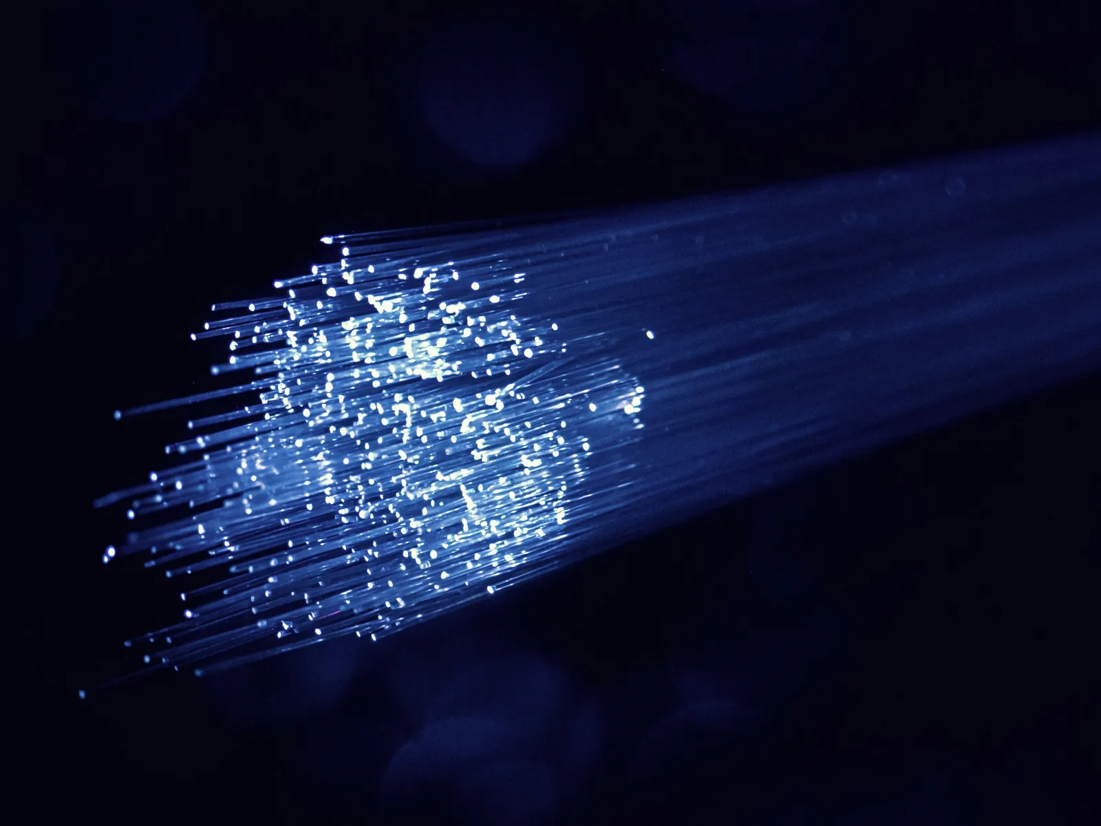 Close-up of glowing blue fiber optic cables transmitting light through thin strands.