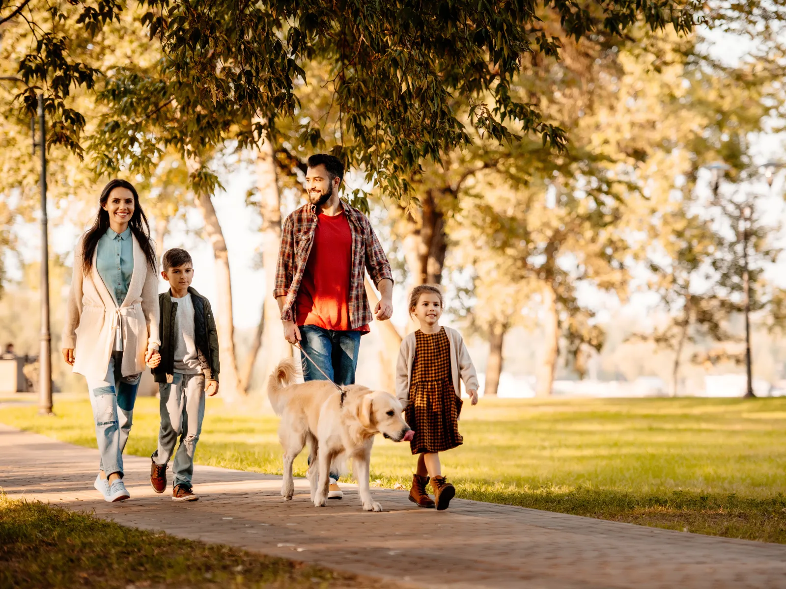 a group of people walking a dog