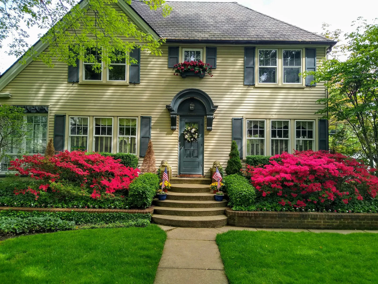 Two-story house with gray door, black shutters, bright red azalea bushes, and green lawn in springtime.