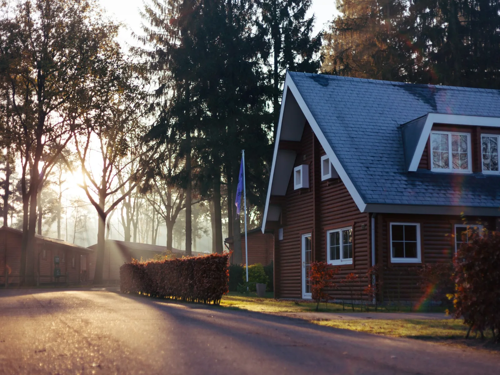 Cozy wooden house with blue roof surrounded by trees and sunlight filtering through autumn foliage.