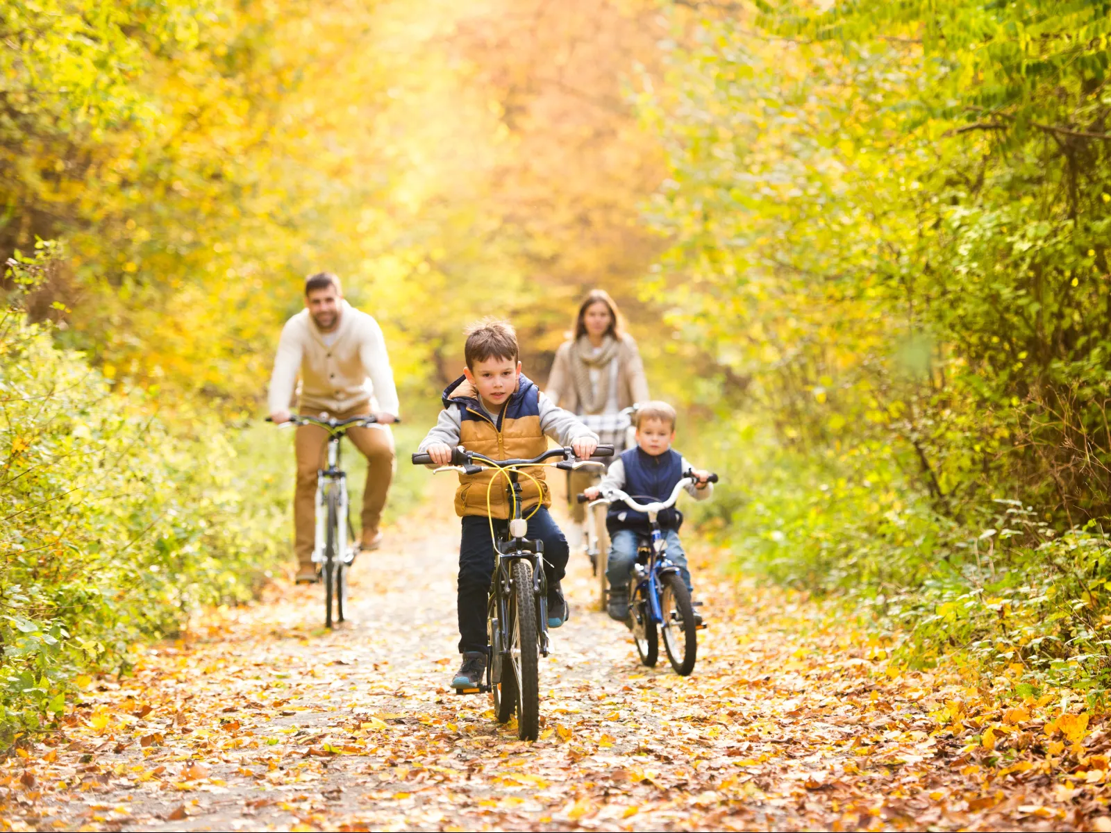 a group of people riding bikes on a path in the woods