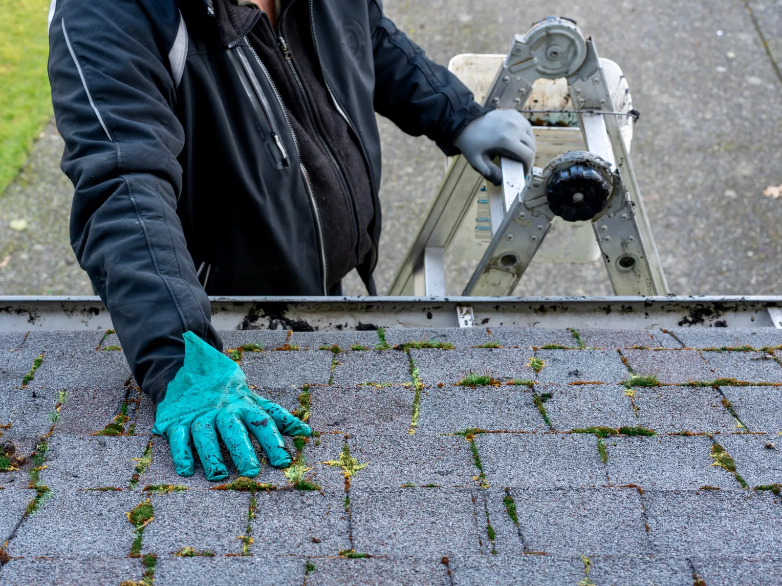 Person wearing gloves inspects moss and debris on a rooftop near a ladder outdoors