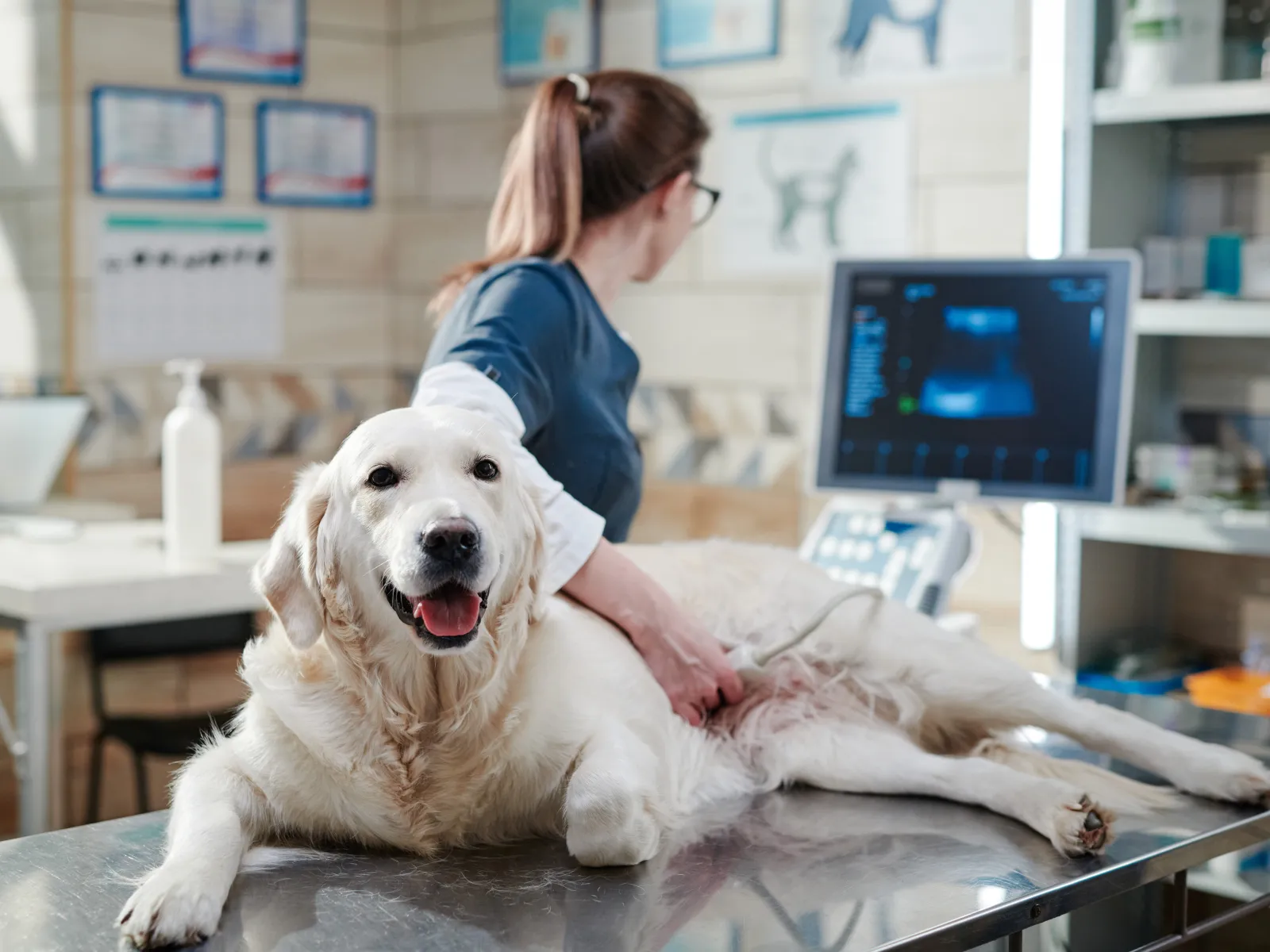 a person sitting on a floor with a dog