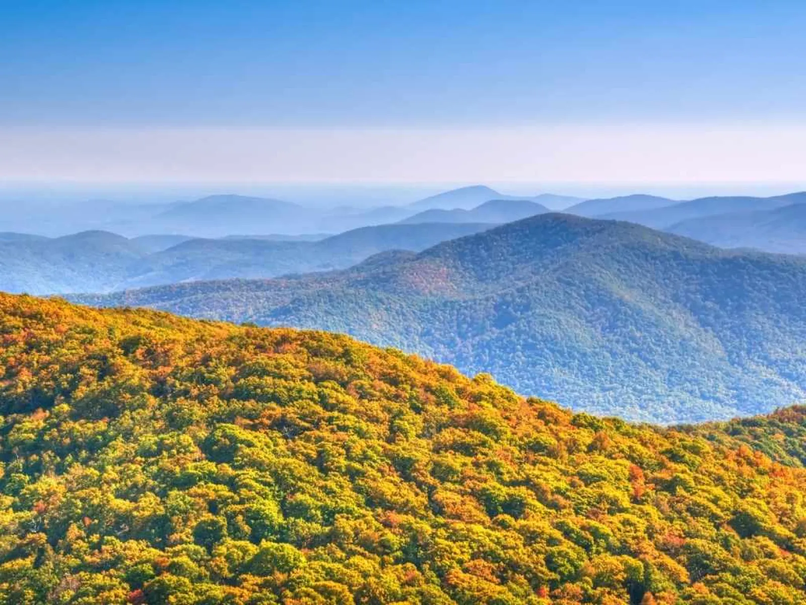 Rolling blue mountains with dense autumn forest featuring green, yellow, and orange foliage under clear sky.