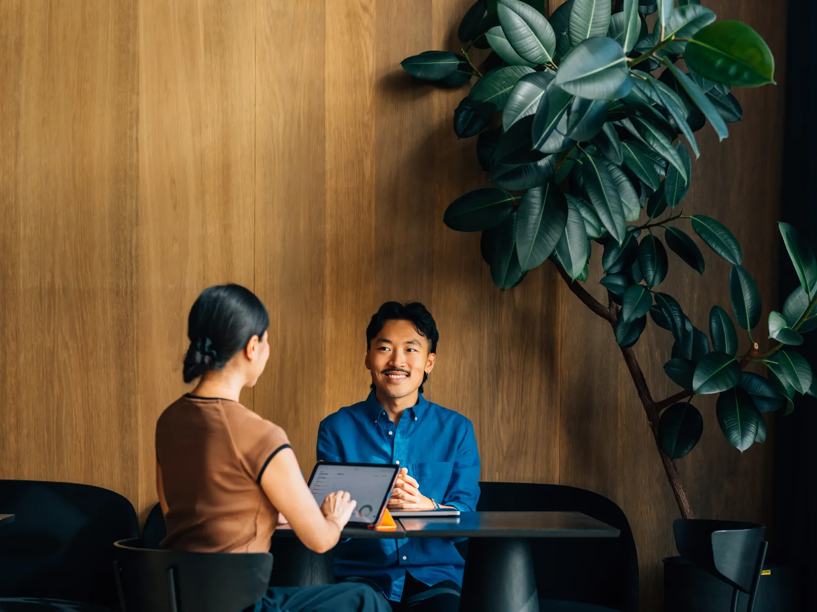Two people having a discussion at a round table in a modern wooden room with a large leafy plant.
