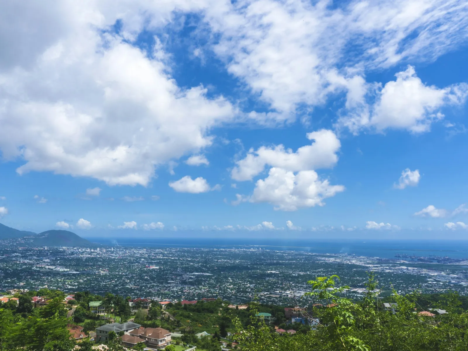 Residential and Commercial Pest Control in Kingston, Kingston Pest Services, Kingston Certified Pest Control Technicians, Kingston Exterminator, Kingston Pest Inspections