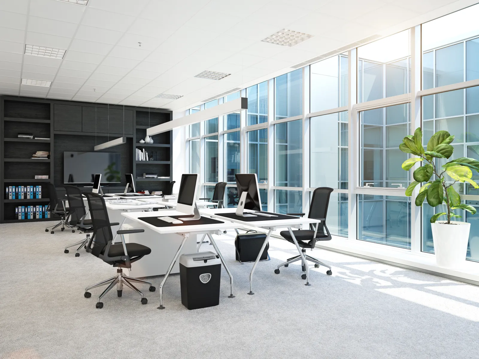 Modern bright office with large windows, black chairs, white desks, computers, and a tall potted plant