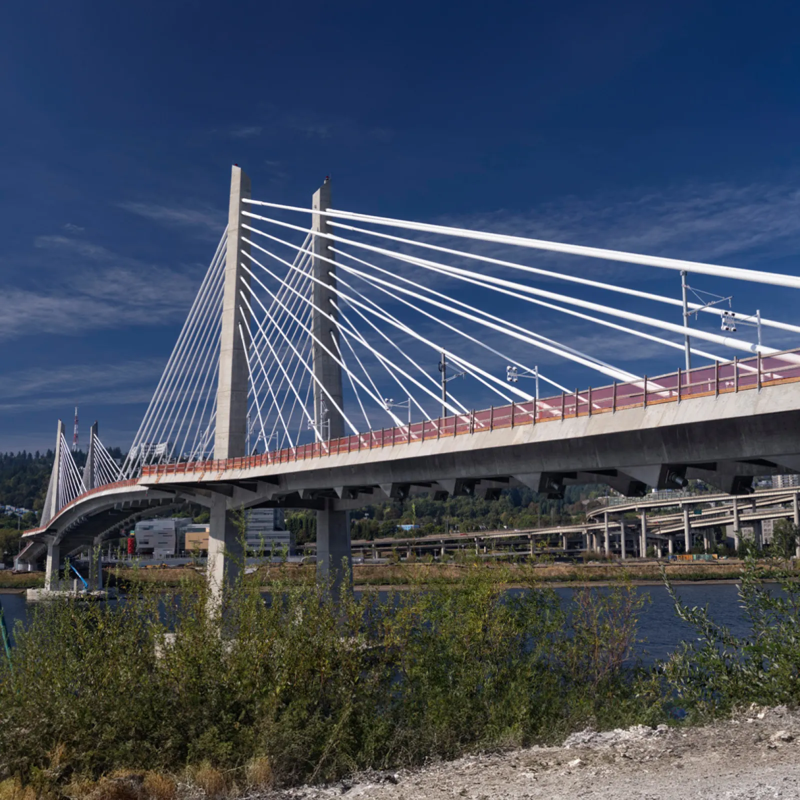 Modern cable-stayed bridge over river with blue sky and greenery in the foreground and background.