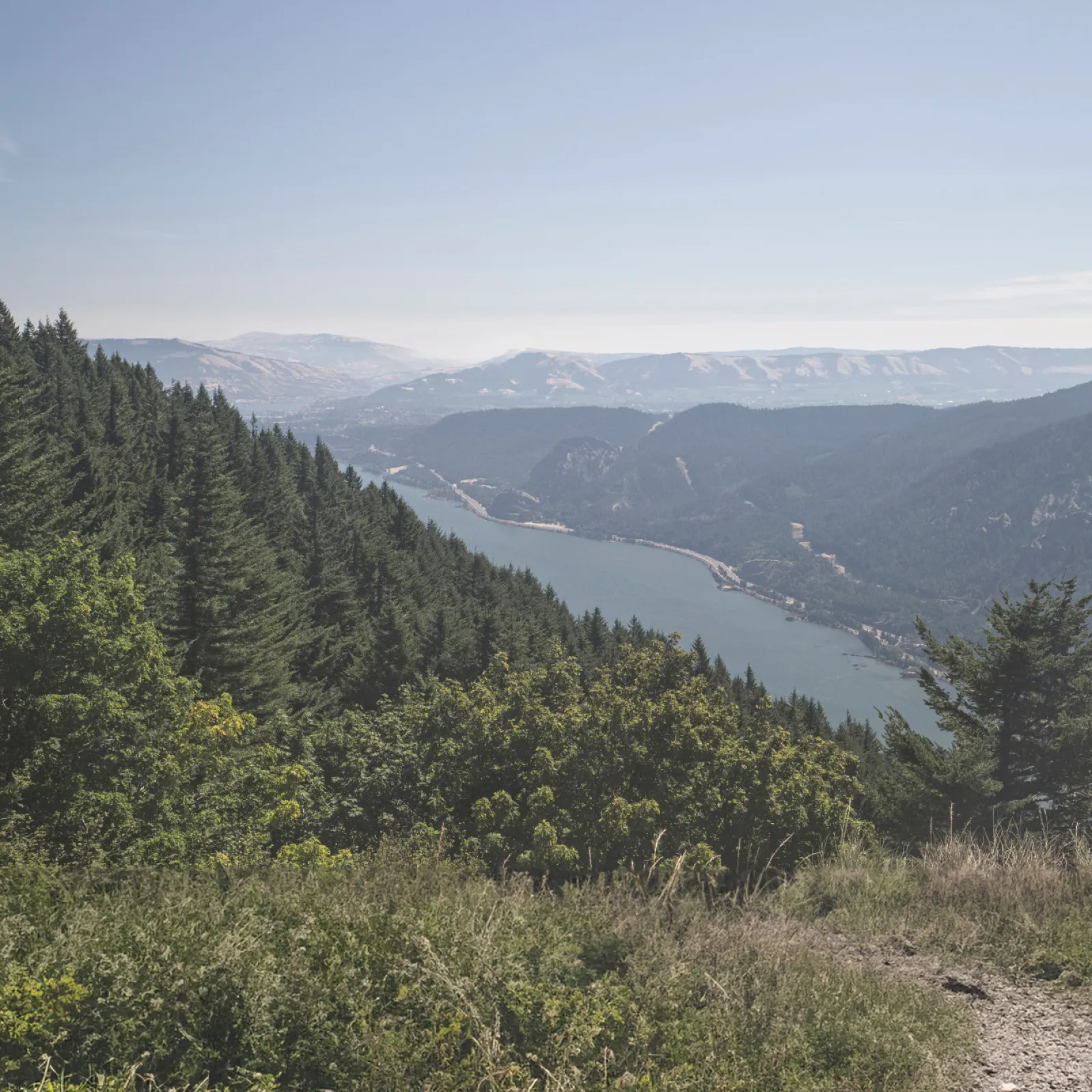 Mountain trail overlooking dense forest and winding river valley under clear blue sky.