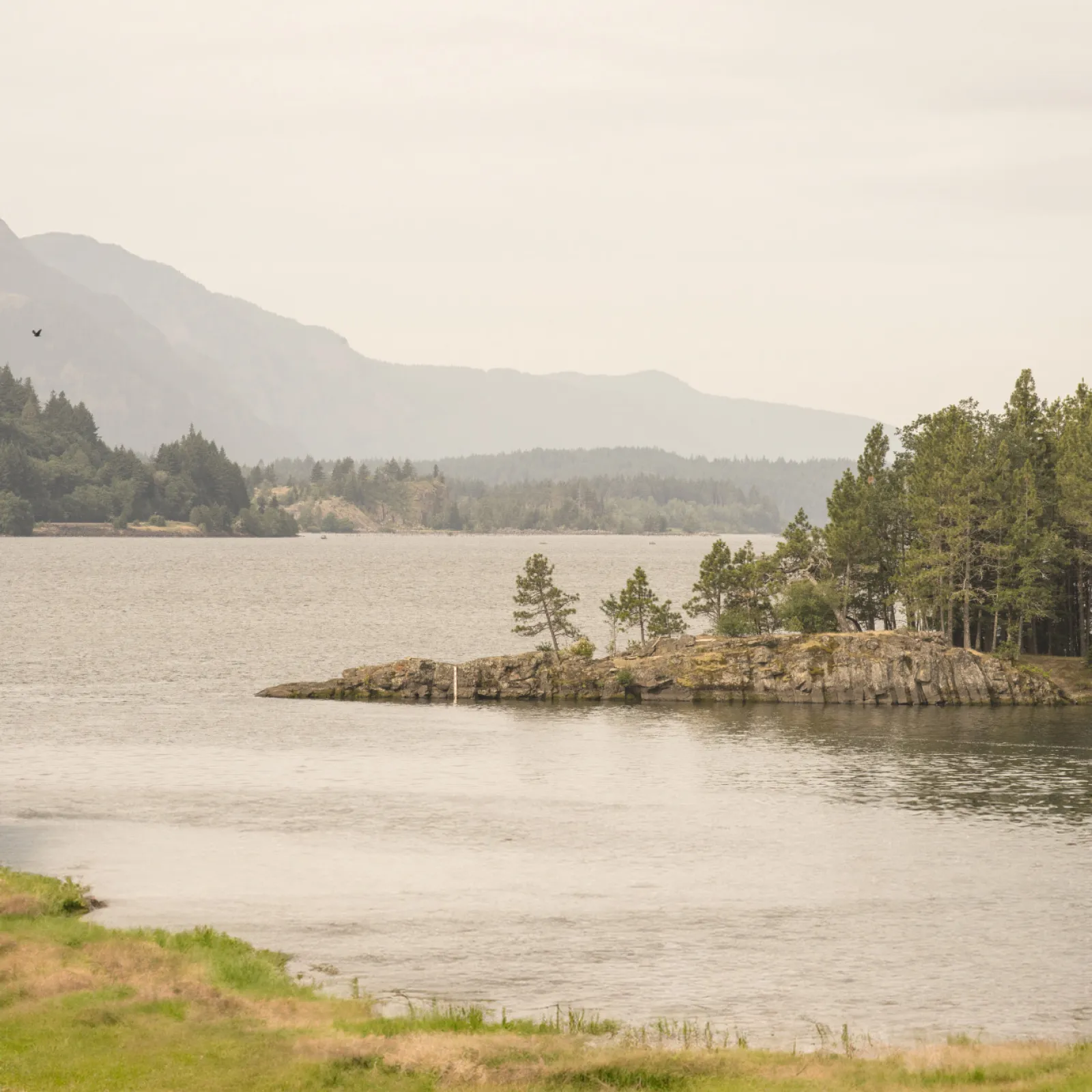 Peaceful lake scene with rocky island, pine trees, mountains in mist, and grassy shore under overcast sky.