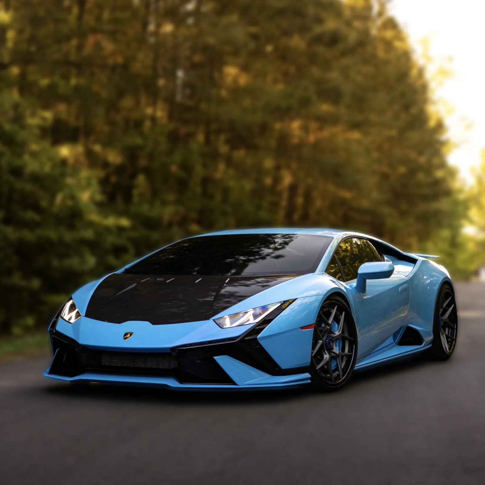 Blue Lamborghini sports car with black hood parked on forest road in soft sunlight.