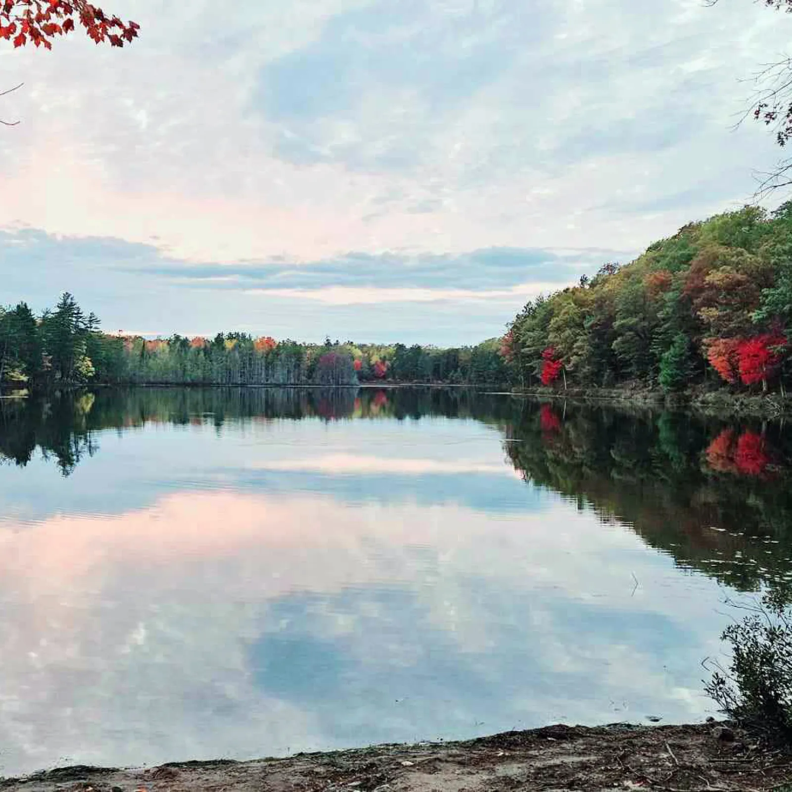 a lake surrounded by trees