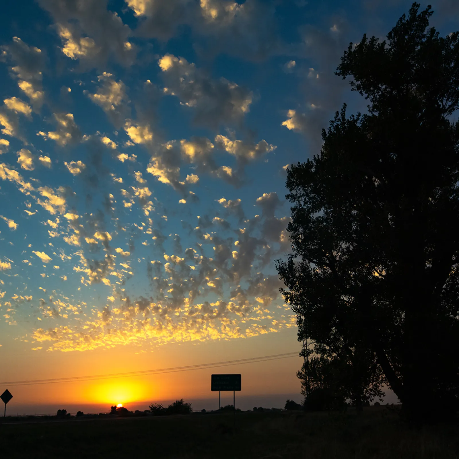 a sunset with a tree